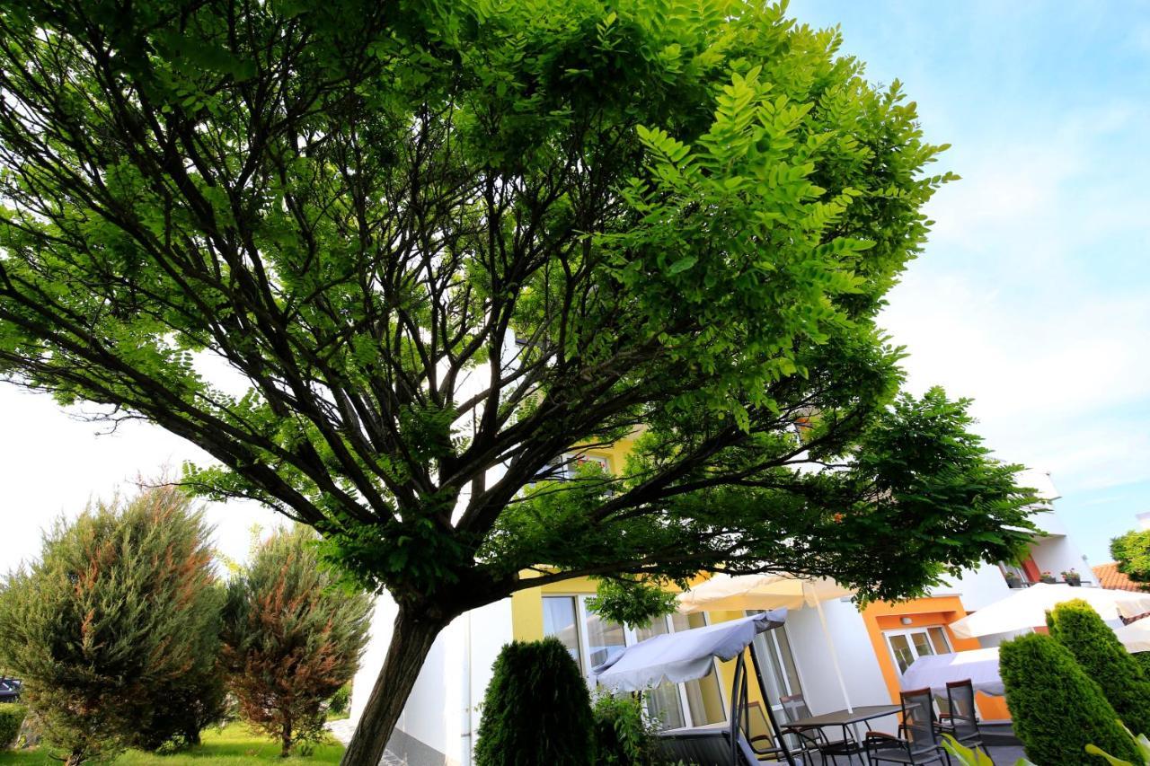 Stayinn Rainbow Houses Beachfront By Asteri Hotels Sunny Beach Eksteriør billede